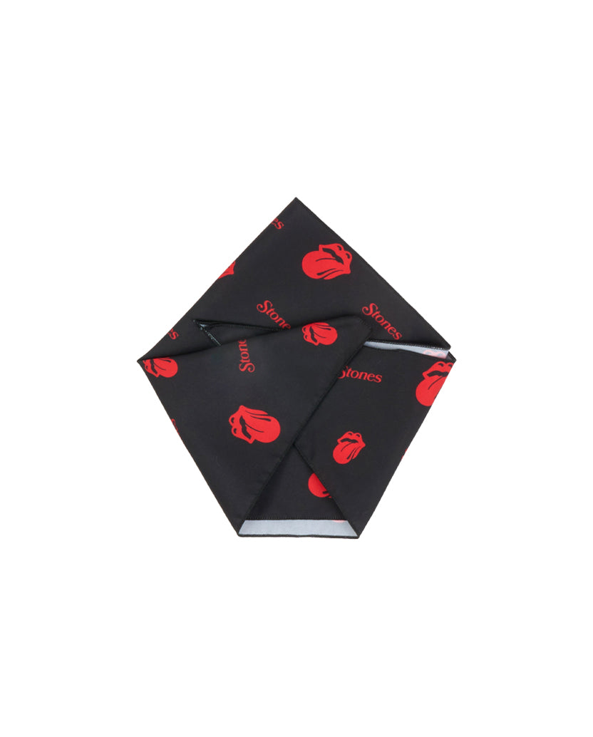 Classic Logos Stones Dog Bandana Folded