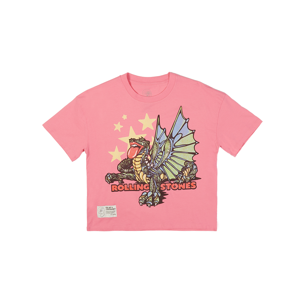 Pink Dragon Graphic Print Boxy T-Shirt