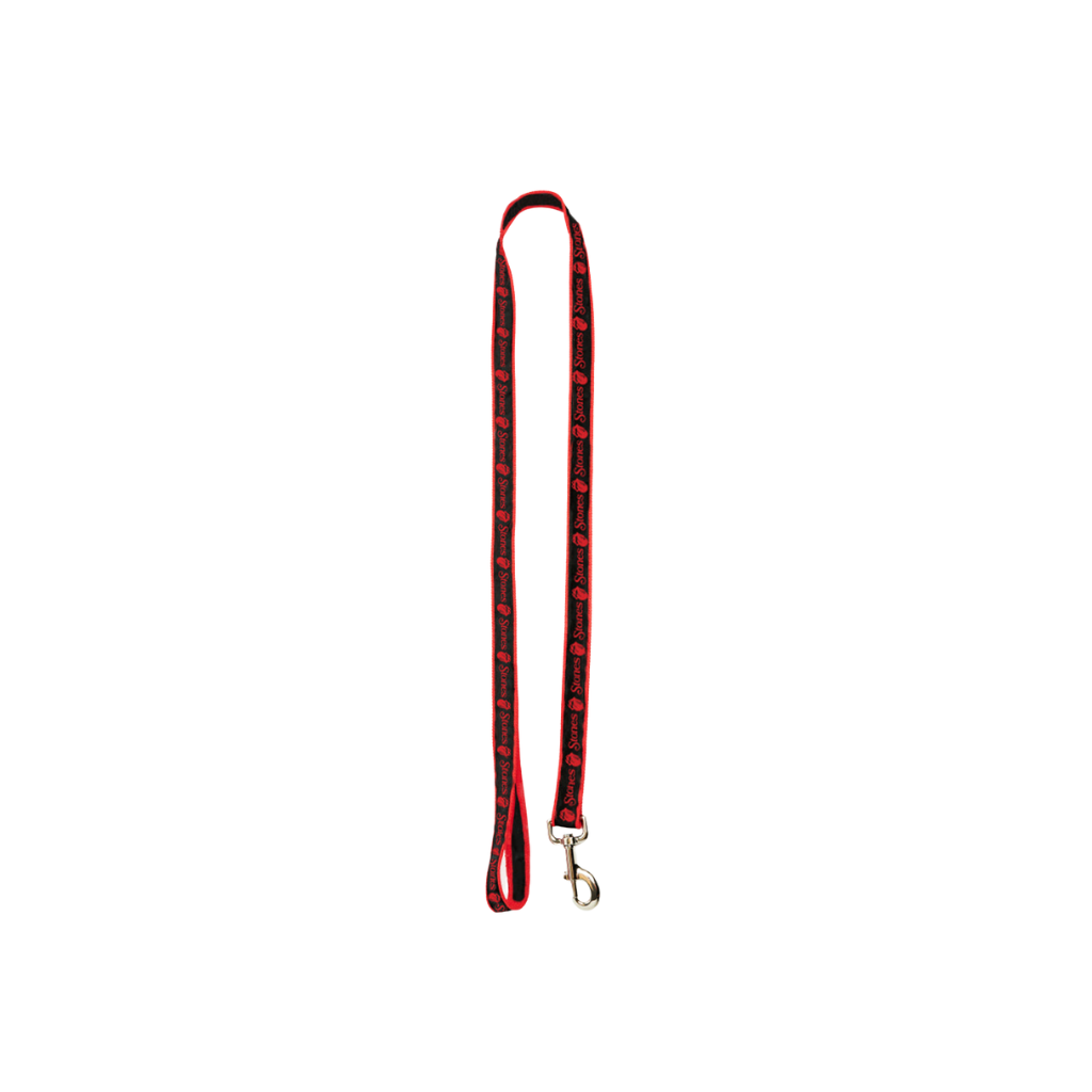 RS No. 9 Carnaby St. Dog Leash