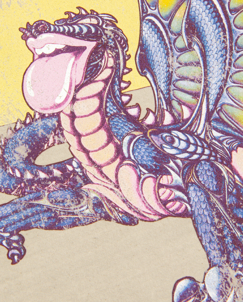 Vintage Wash Dragon T-Shirt Front Detail